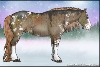 Horse Color:Liver Red Dun Sabino Rabicano