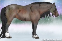 Horse Color:Brown Ice Sabino