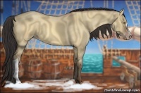 Horse Color:Amber Champagne Dun 