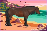 Horse Color:Brown Sabino 