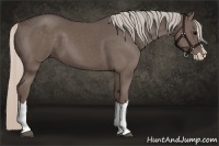 Horse Color:Silver Black Splash 