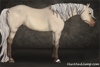 Horse Color:Silver Brown Dun