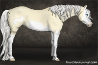 Horse Color:Silver Buckskin Dun Splash Frame 