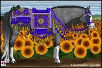 Horse Color:Blue Roan Splash 