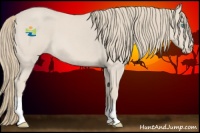 Horse Color:Smoky Creme Roan