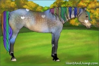 Horse Color:Painted Buckskin 
