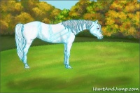 Horse Color:Thunderstruck Silver Bay Chinchilla Ice Dun Splash 