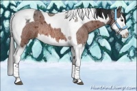 Horse Color:Bay Roan Splash Tobiano Rabicano