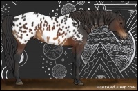 Horse Color:Brown Near Leopard 
