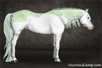 Horse Color:Watercolor Palomino Ice Roan Splash