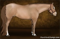 Horse Color:Brown Pearl Sabino