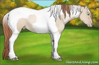 Horse Color:Smoky Grullo Pearl Tobiano