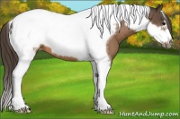 Horse Color:Buckskin Tobiano Frame Appaloosa