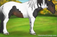 Horse Color:Brown Tobiano 