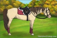 Horse Color:Amber Champagne Dun 