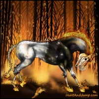 Horse Color:White Spotted Midnight Liver Chestnut Appaloosa