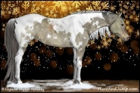 Horse Color:White Spotted Liver Red Dun Ice Tobiano 