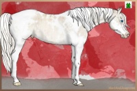 Horse Color:White Spotted Liver Red Dun Pearl Splash Tobiano Rabicano