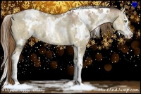 Horse Color:White Spotted Liver Red Dun Ice Pearl Sabino Rabicano