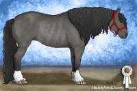 Horse Color:Black Rabicano