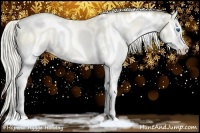 Horse Color:White Spotted Chocolate Palomino Ice Pearl Splash Rabicano 