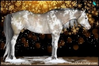 Horse Color:White Spotted Bay Dun Sabino Splash Rabicano