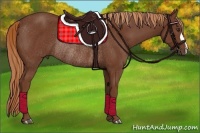 Horse Color:Chestnut Rabicano 