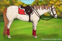 Horse Color:Buckskin Pearl Dun 