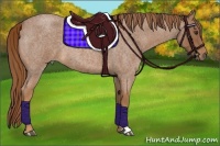 Horse Color:Red Roan 