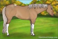 Horse Color:Silver Brown Dun Tobiano 