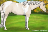 Horse Color:Silver Smoky Blue Roan Pearl Tobiano