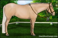 Horse Color:Silver Bay Roan Pearl 