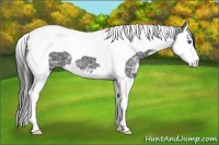 Horse Color:Smoky Blue Ice Roan Splash Tobiano 