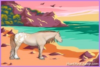 Horse Color:Buckskin Pearl Sabino Appaloosa Rabicano