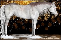 Horse Color:Chocolate Silver Grullo Chinchilla Sabino Splash 
