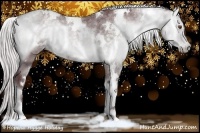 Horse Color:White Spotted Chocolate Silver Blue Onyx Chinchilla 