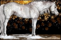 Horse Color:White Spotted Chocolate Silver Blue Onyx Chinchilla 