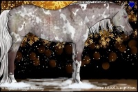 Horse Color:White Spotted Chocolate Silver Grullo Chinchilla