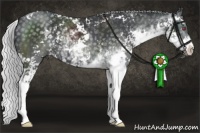 Horse Color:Silver Black Chinchilla Sabino 