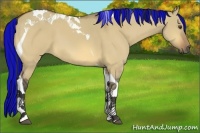 Horse Color:Painted Buckskin Dun Tobiano 