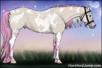 Horse Color:Watercolor Buckskin Dun Tobiano