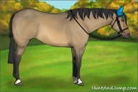 Horse Color:Buckskin Dun