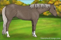 Horse Color:Silver Black 