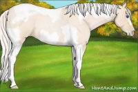 Horse Color:Silver Buckskin Roan Pearl Tobiano Frame 