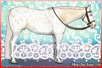 Horse Color:White Spotted Silver Sable Champagne Pearl Dun Sabino Appaloosa 