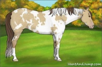 Horse Color:White Spotted Classic Cream Champagne Dun 