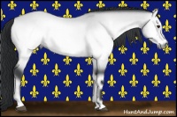 Horse Color:Brown Chinchilla Onyx 