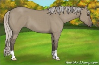 Horse Color:Silver Grullo 
