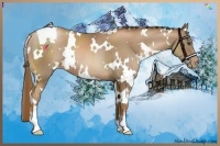 Horse Color:White Spotted Liver Chestnut Pearl 