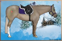 Horse Color:Chocolate Palomino 